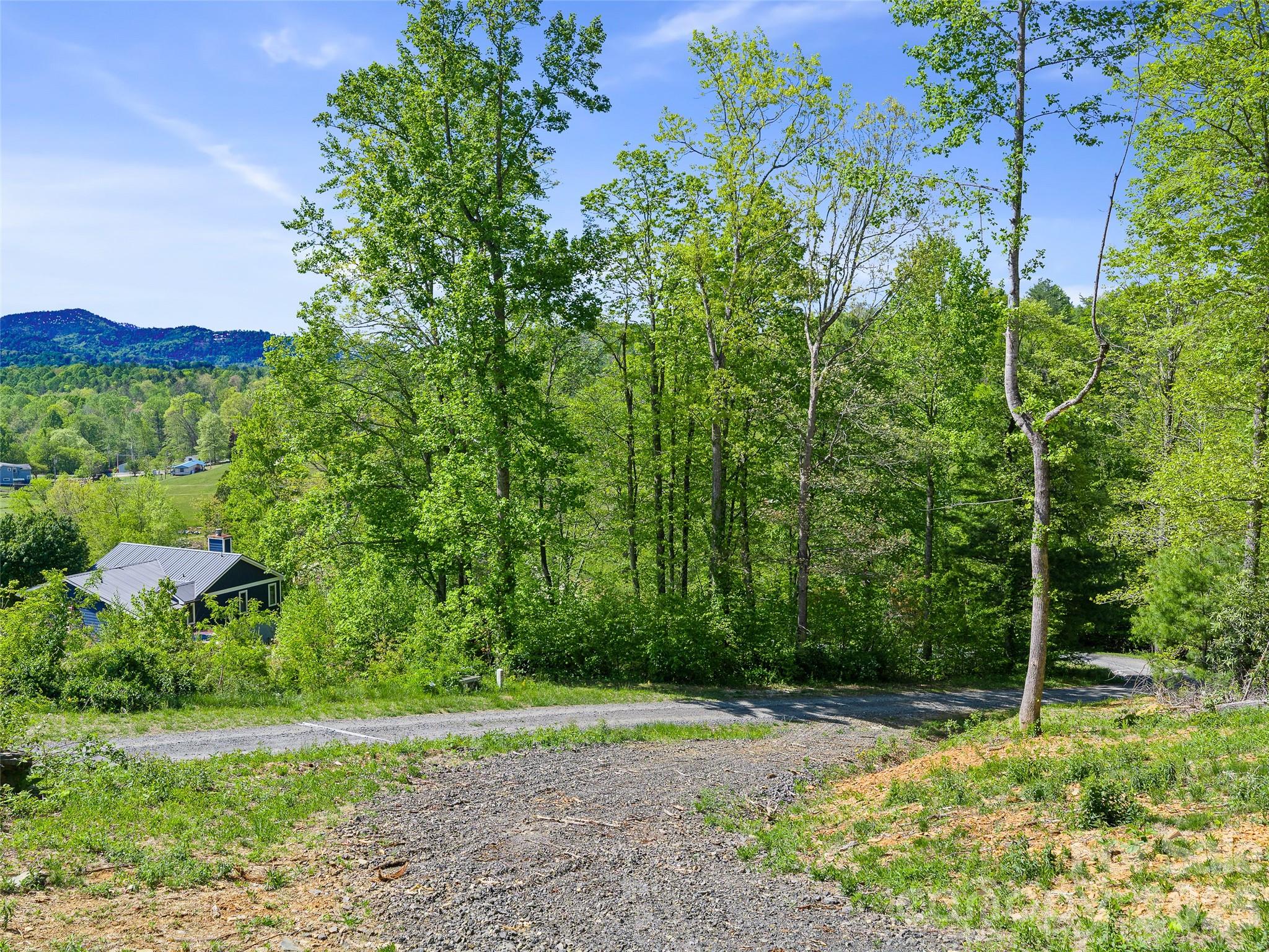 85 Shangrila Trail #2 — Spruce Pine