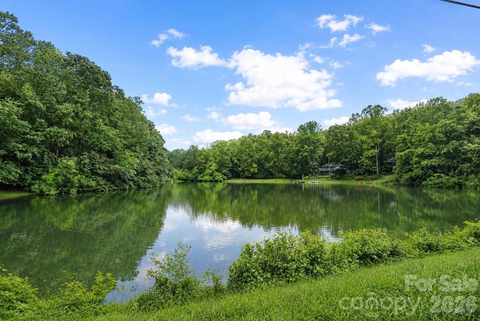 4 Beechwood Lakes Drive — Hendersonville