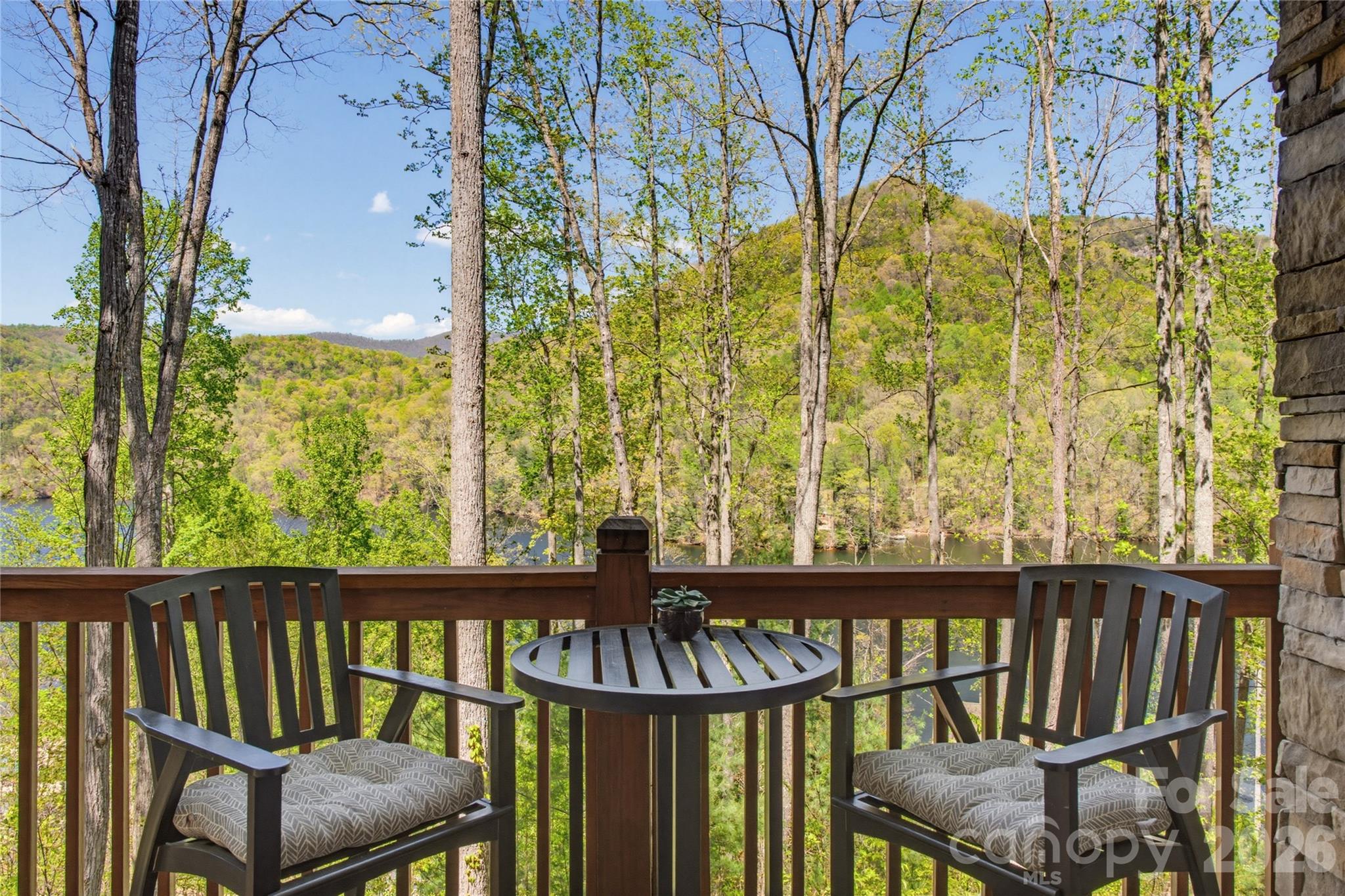 103 Southshore Drive #1 — Tuckasegee