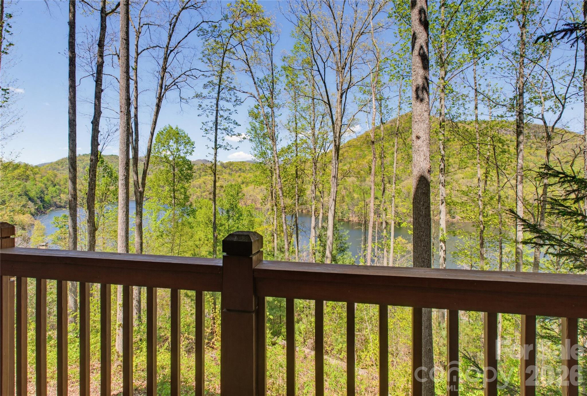 103 Southshore Drive #1 — Tuckasegee