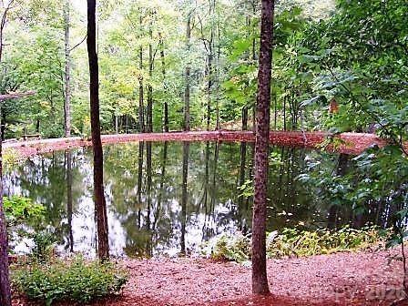 103 Southshore Drive #1 — Tuckasegee