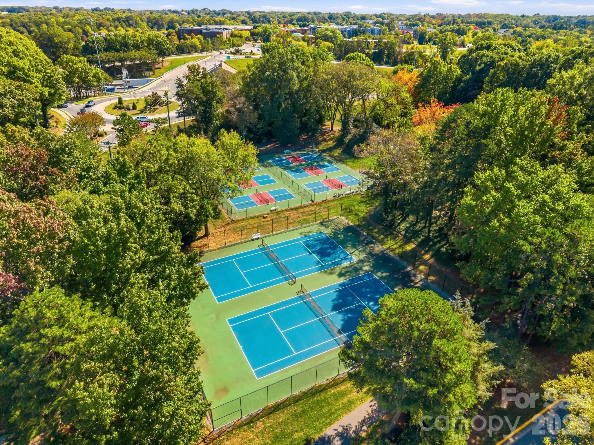 913 Southwest Drive — Davidson