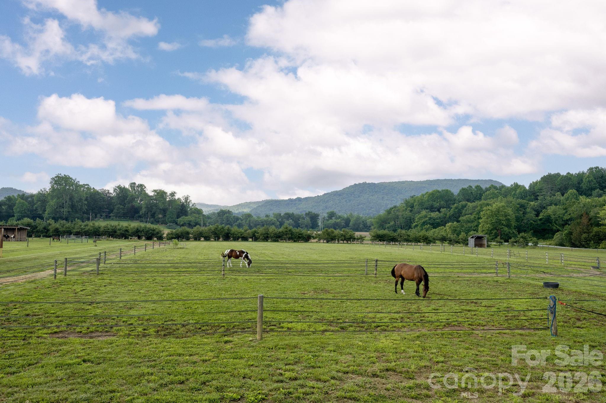 261 & 277 Bent River Farm Road — Pisgah Forest