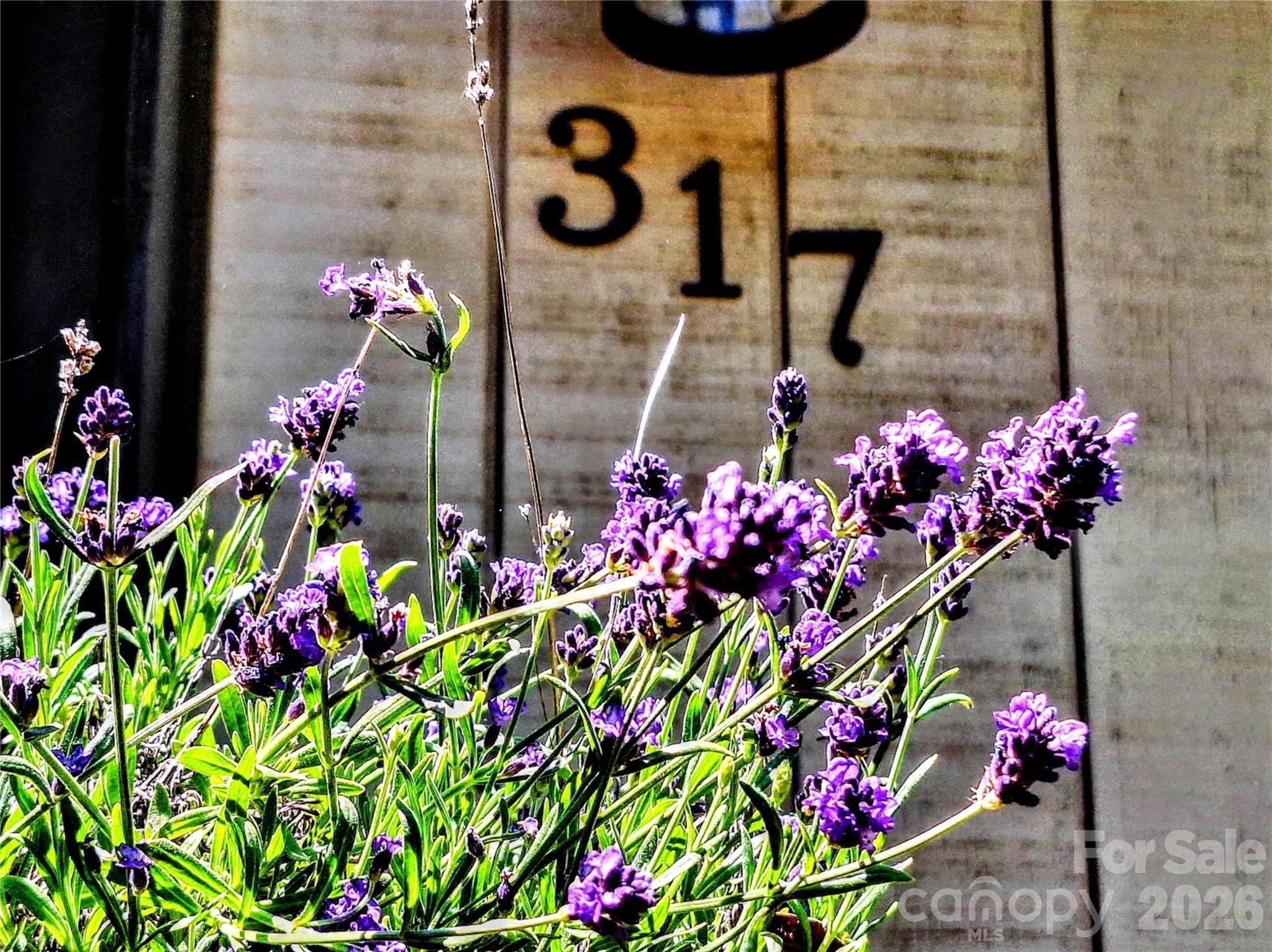 317 Wilcrest Drive — Matthews