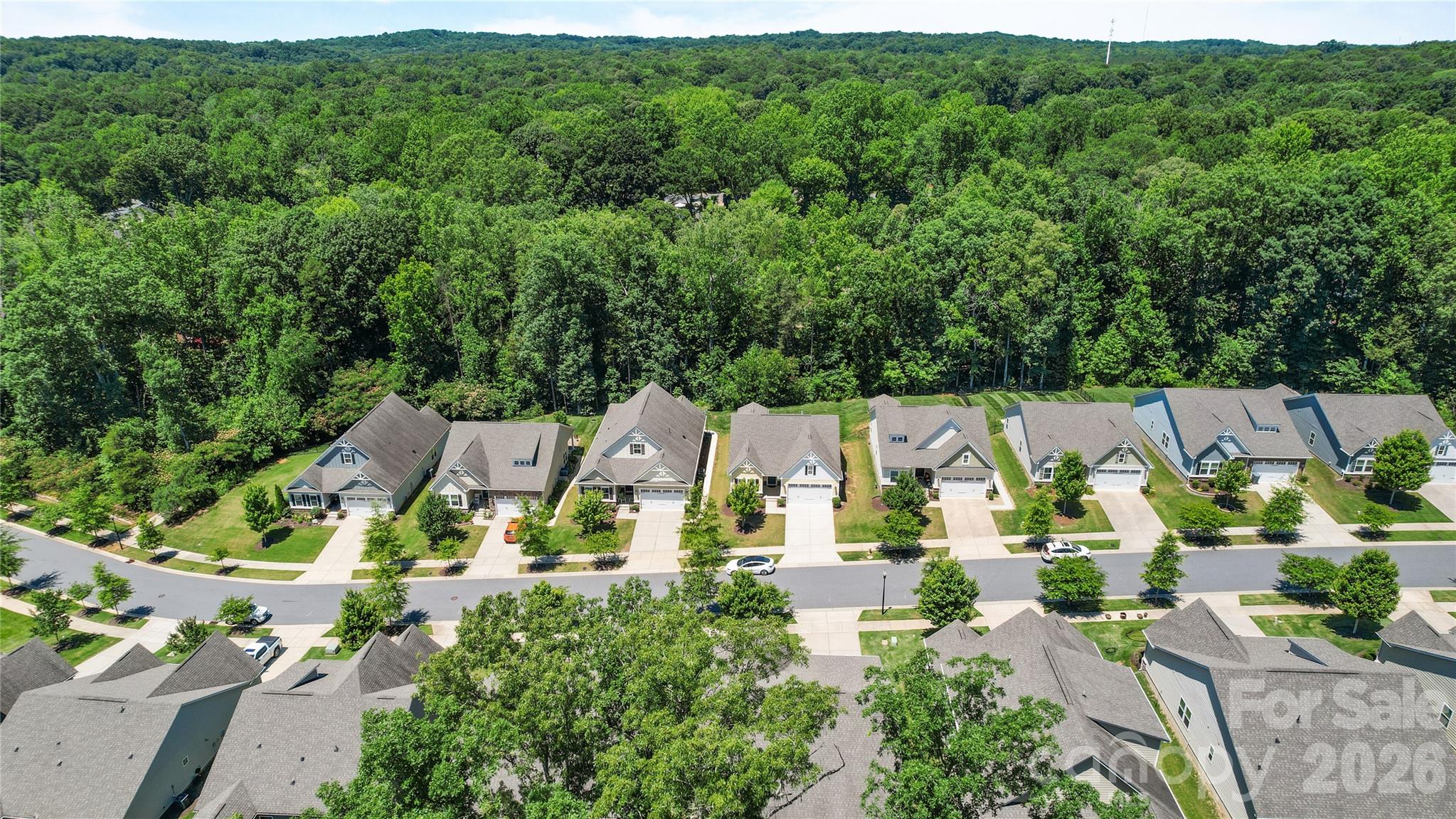 10050 Lilac Court — Charlotte