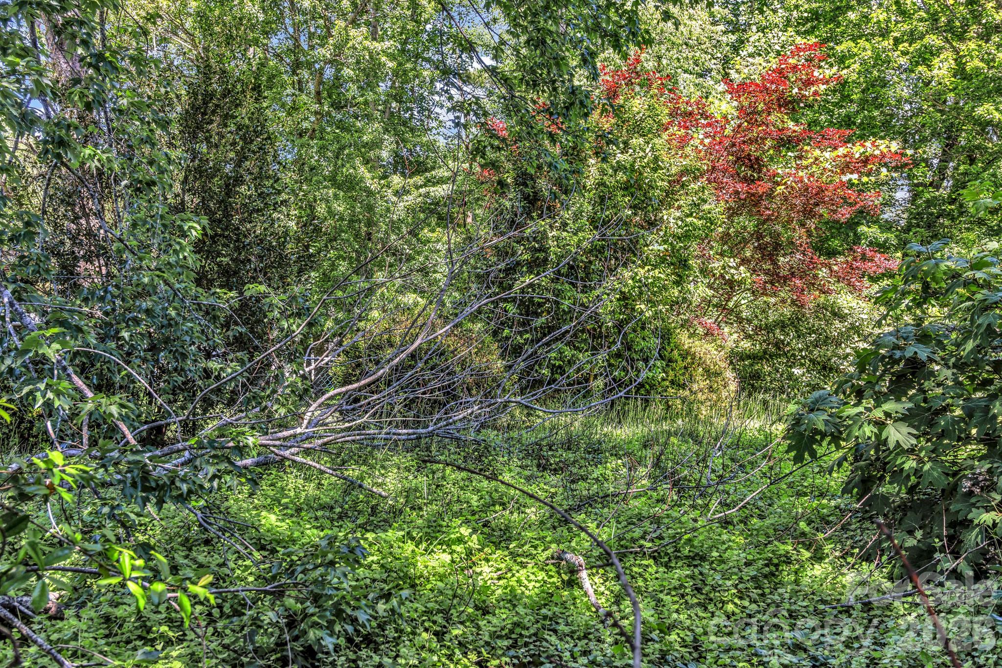 105 Amelia Drive — Hendersonville