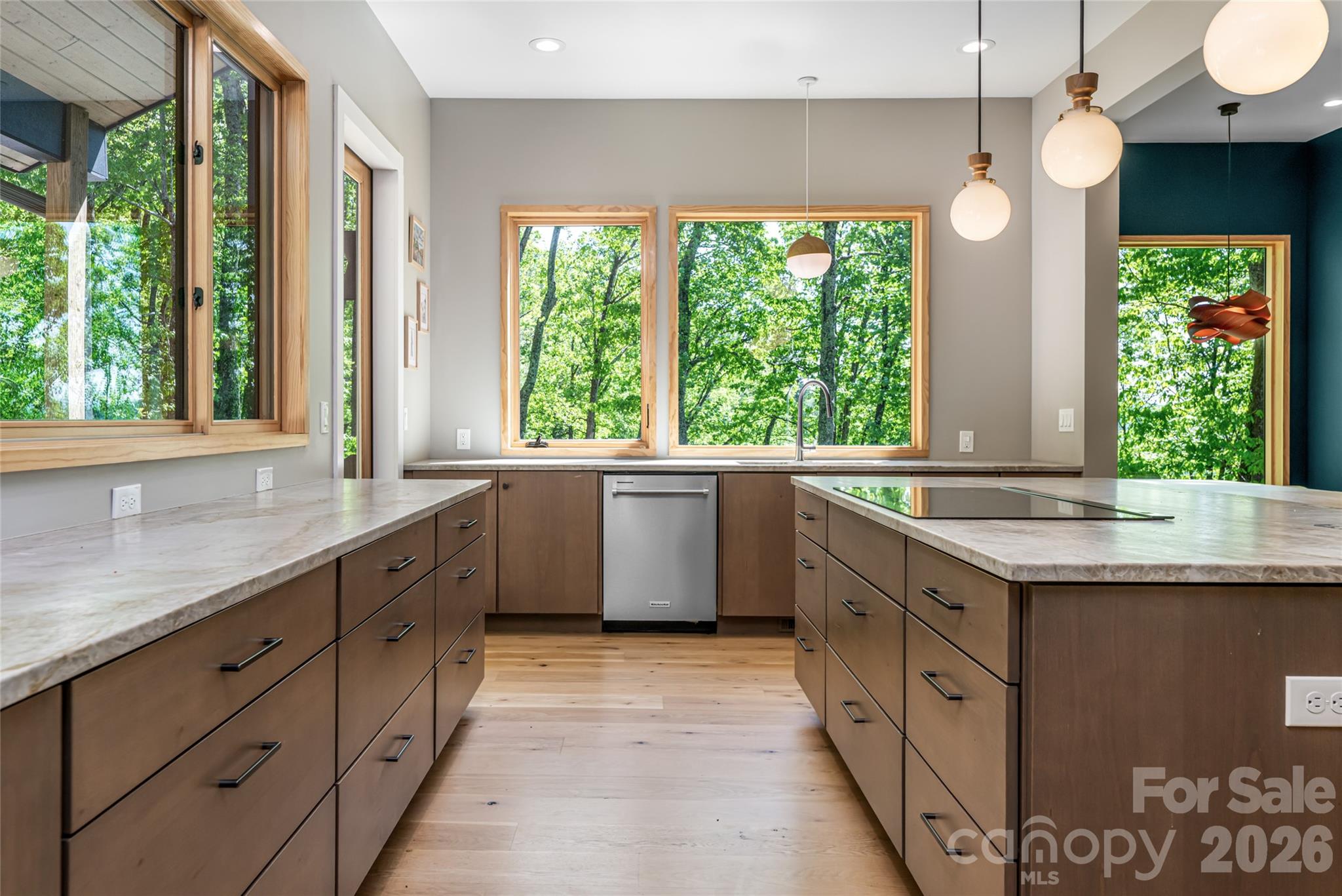 77A Mcintyre Drive — Asheville