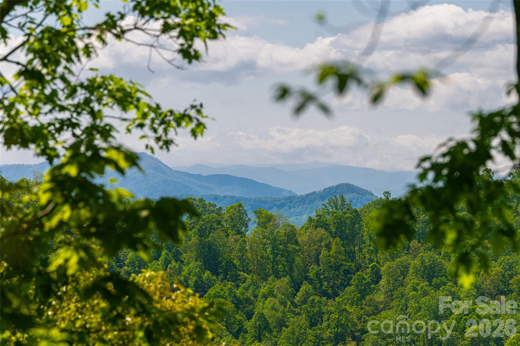 77A Mcintyre Drive — Asheville