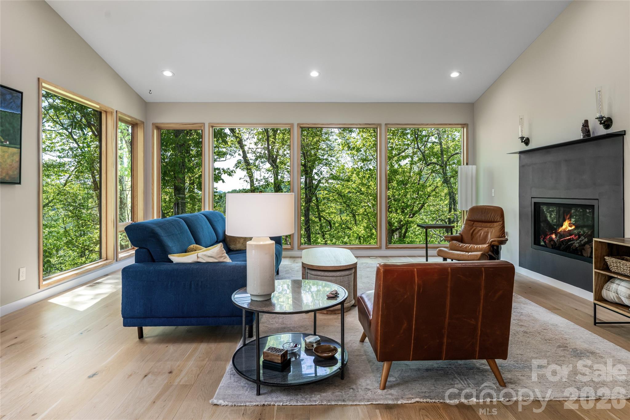 77A Mcintyre Drive — Asheville