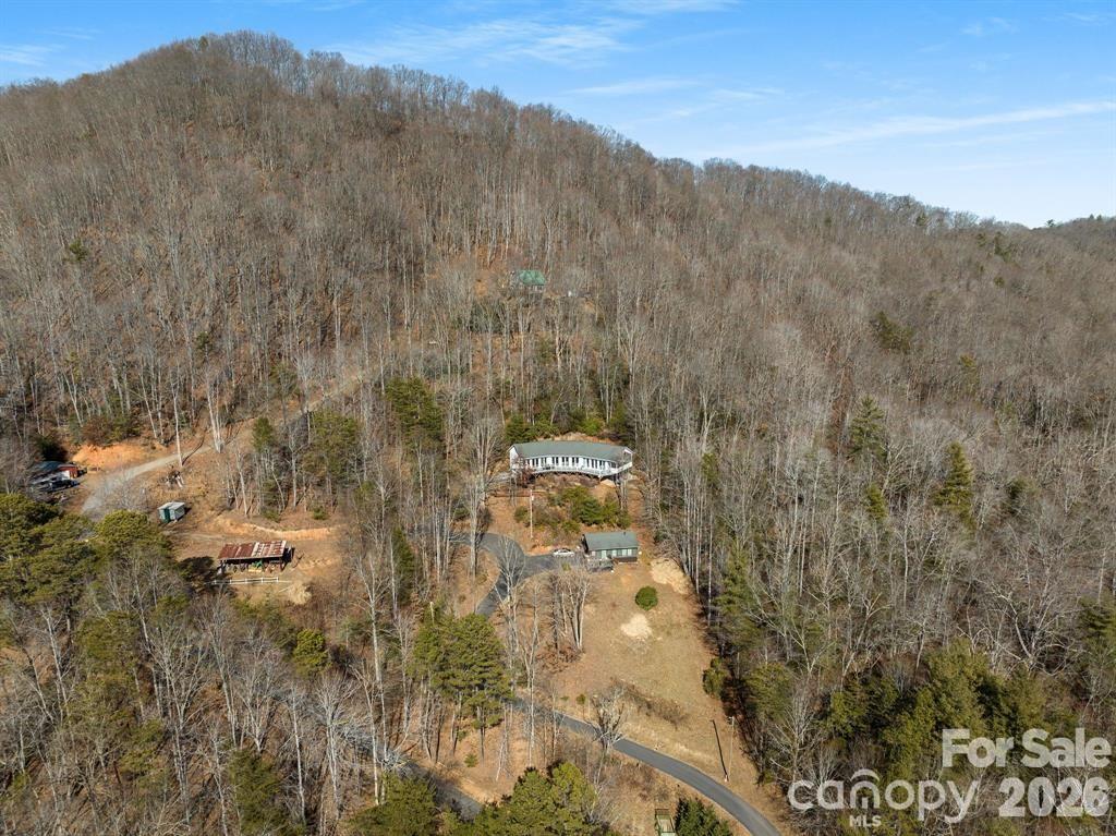 56 Great Horned Owl Road — Candler