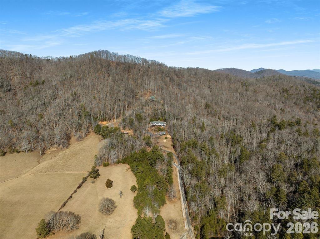 56 Great Horned Owl Road — Candler