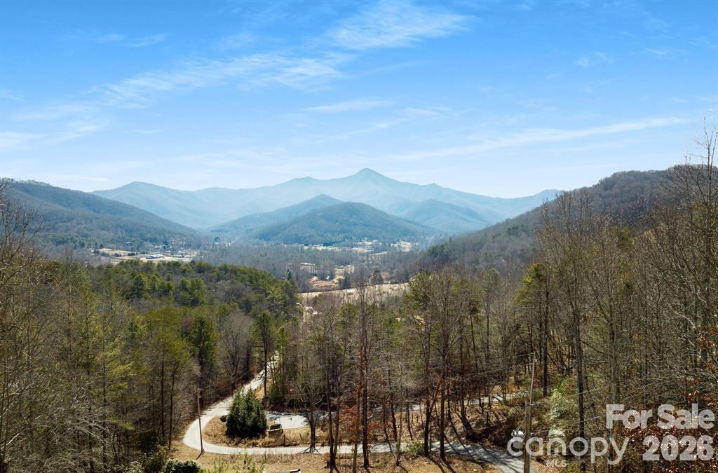56 Great Horned Owl Road — Candler