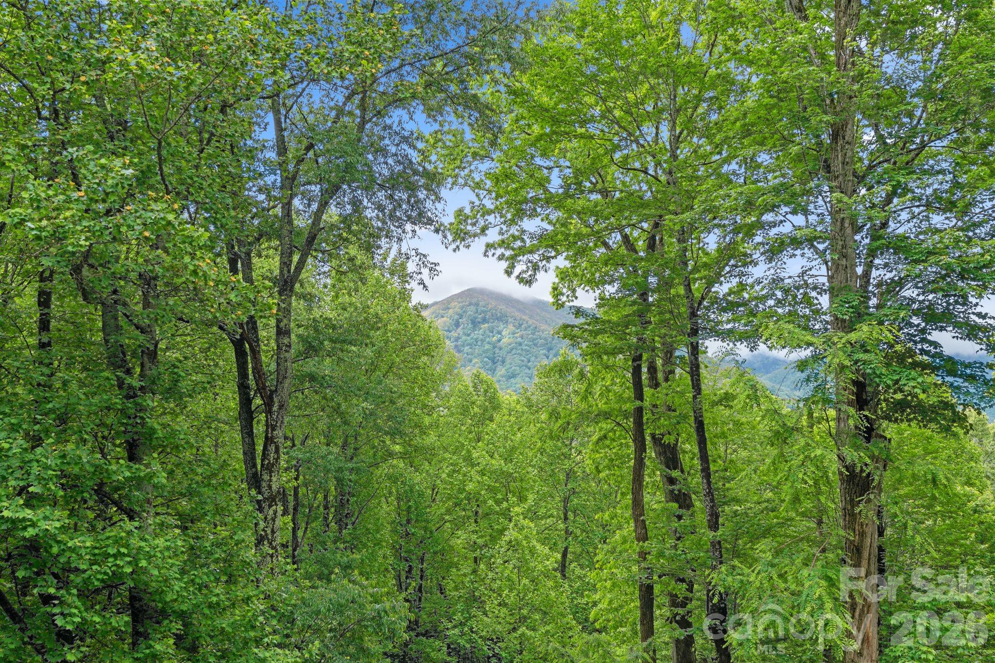 140 Slim Ridge — Maggie Valley