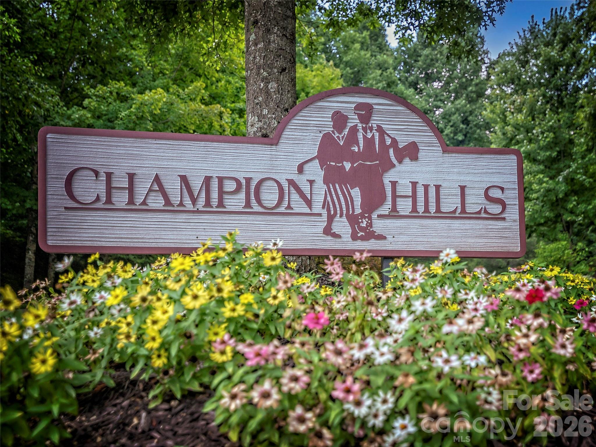 4 Lacoste Drive — Hendersonville