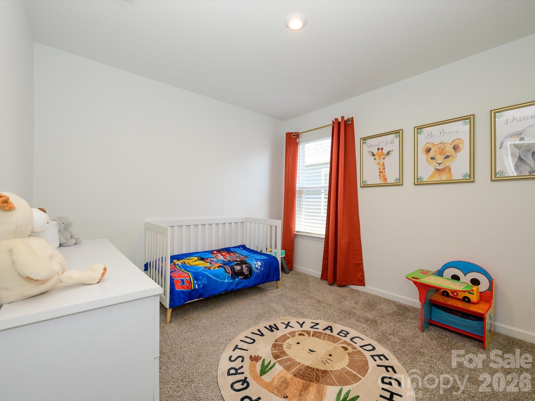 14129 Canemeadow Drive — Charlotte