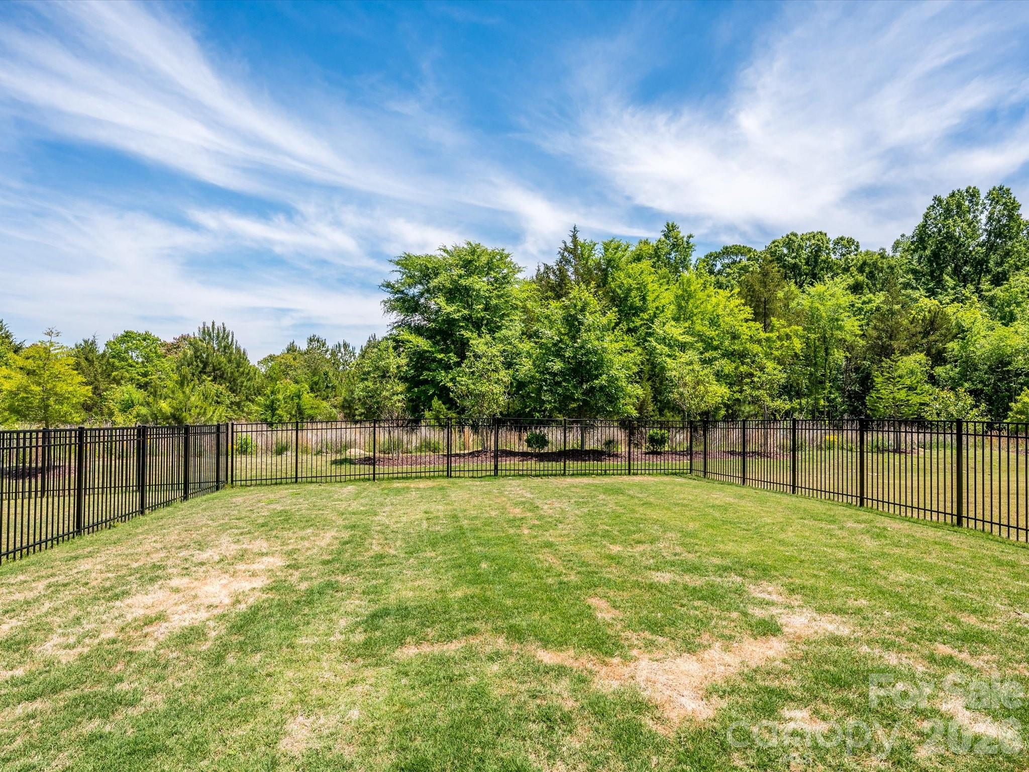 14129 Canemeadow Drive — Charlotte