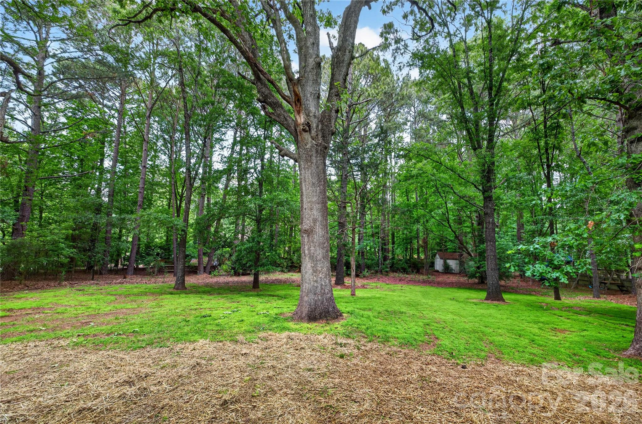 6424 Antioch Court — Matthews