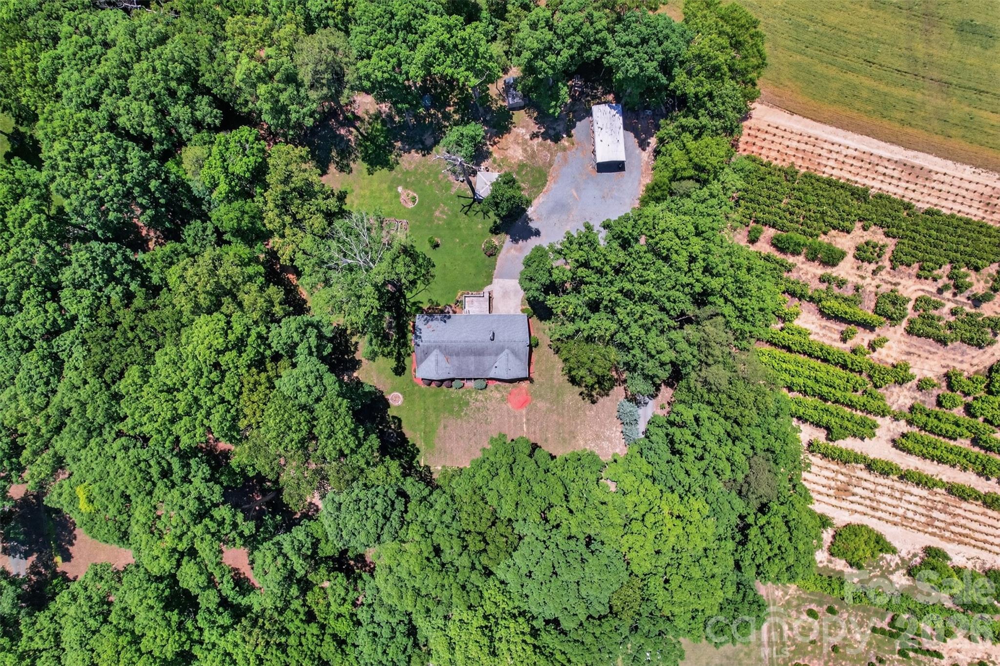 9807 Black Road — Midland