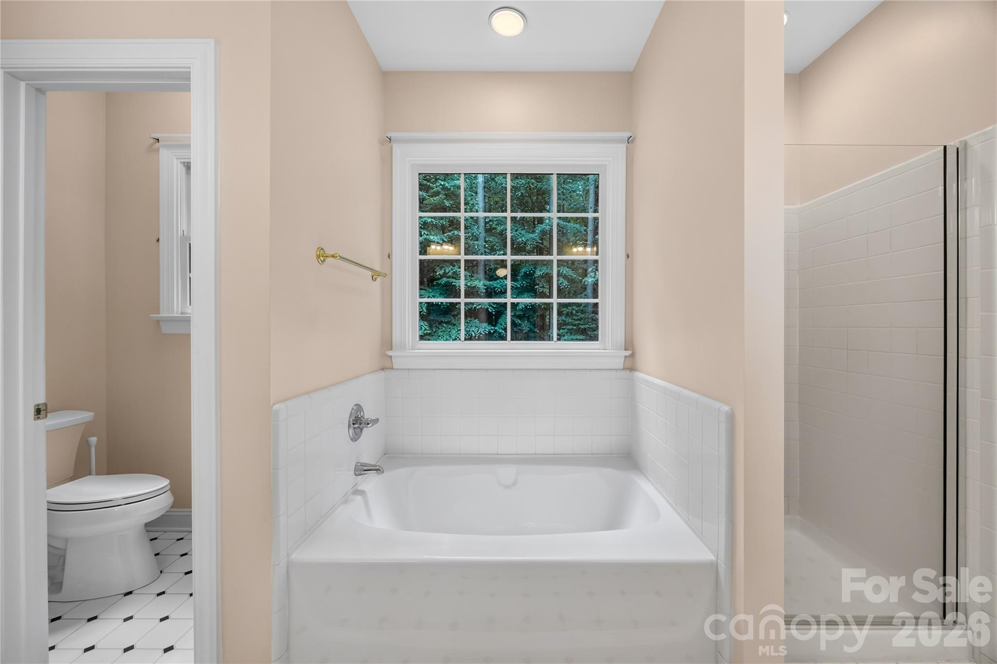 121 Morrows Ridge Lane — Mooresville