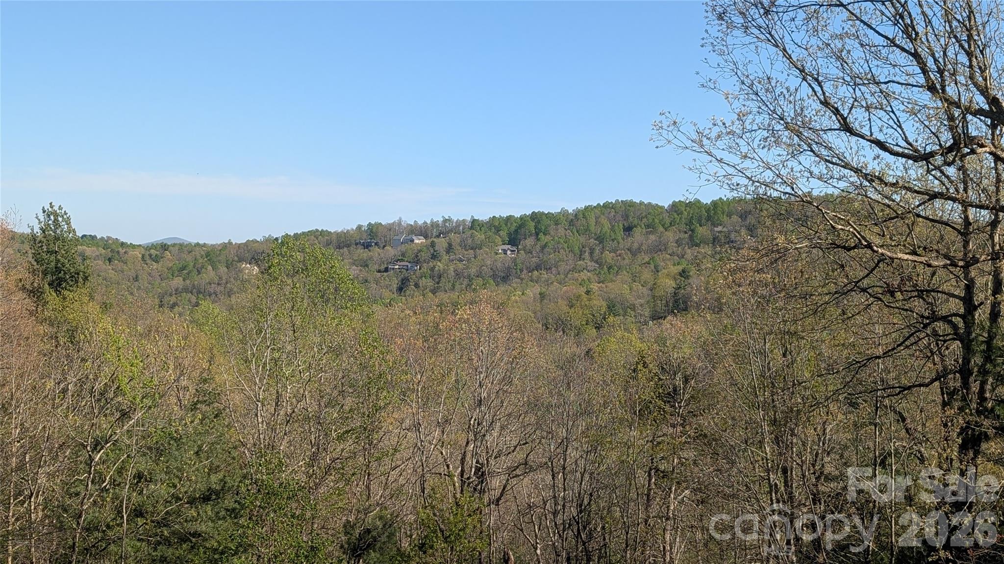 163 Old Poplar Lane — Flat Rock