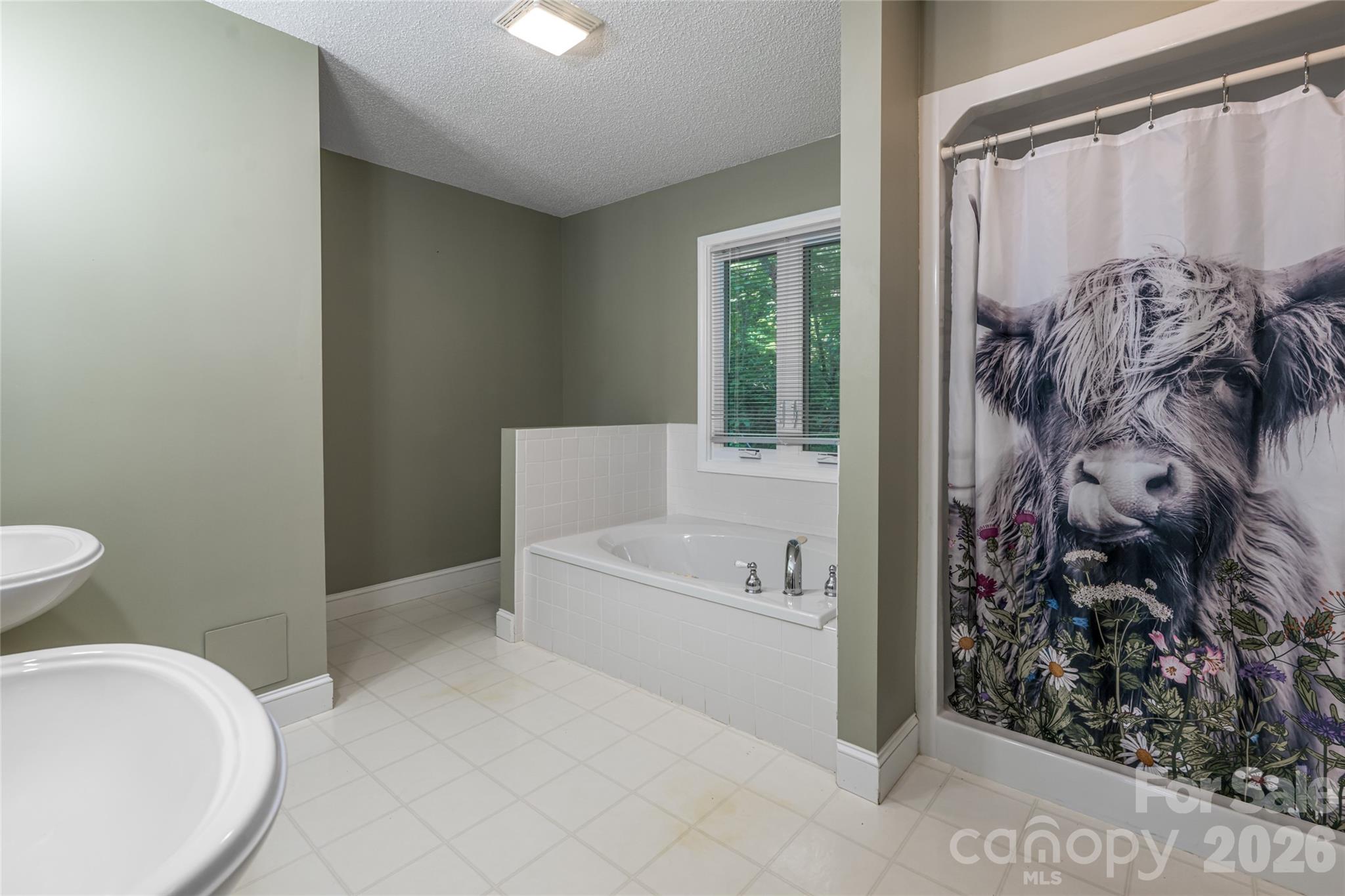 7 Timber Park Drive — Black Mountain