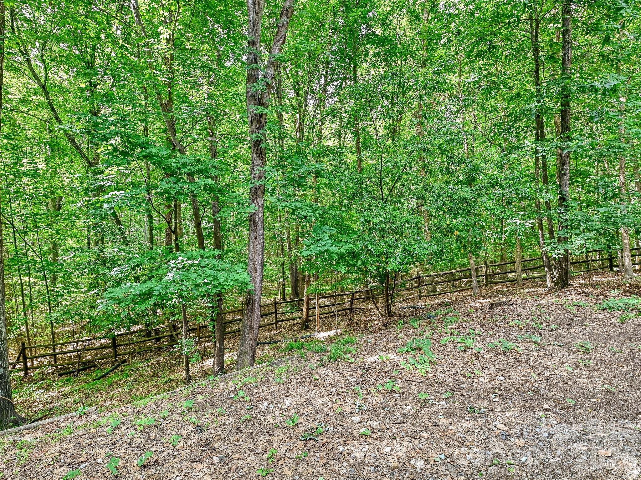 15001 Majestic Oak Drive — Charlotte