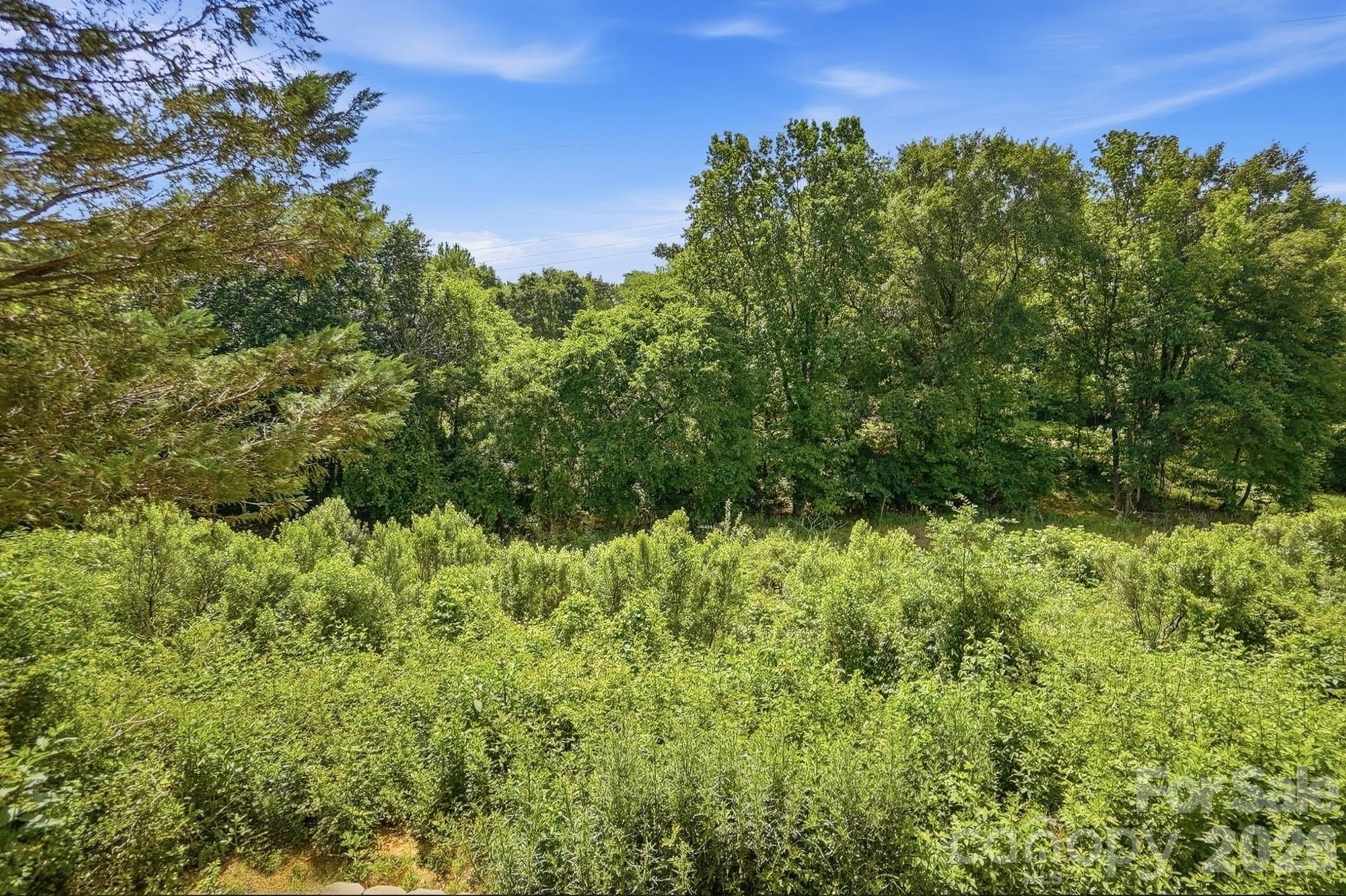 1264 Winding Path Road — Clover