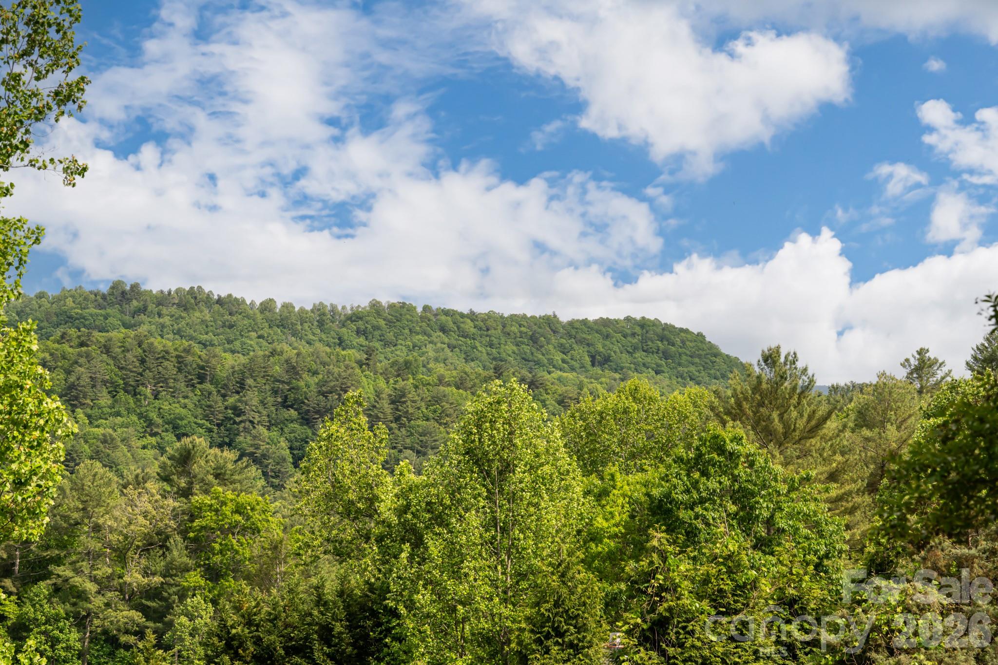 10 Terrapin Trail — Flat Rock
