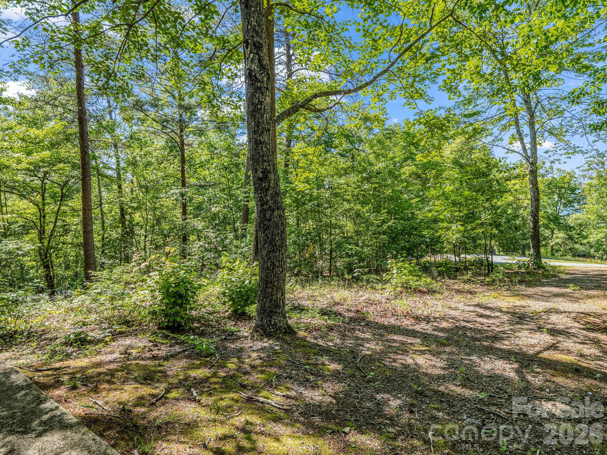 740 Justice Drive — Lake Lure