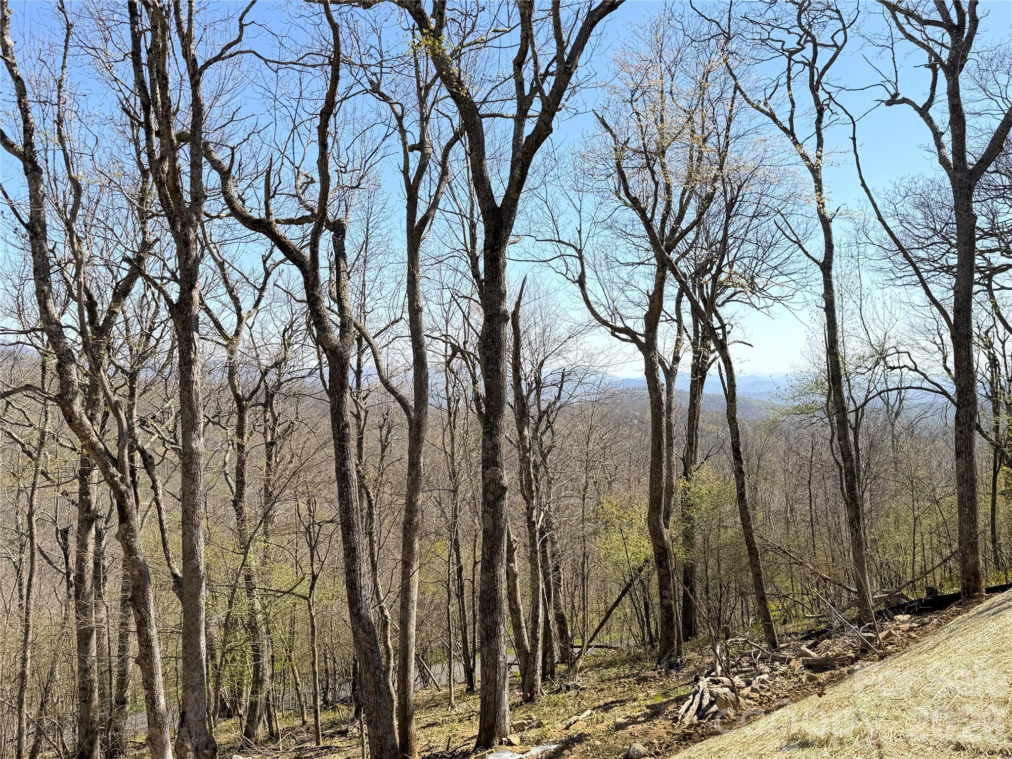 536 Boone Ridge Lane — Boone
