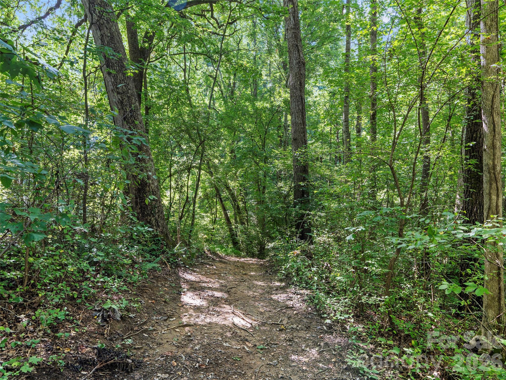 115 Bittersweet Trail — Canton