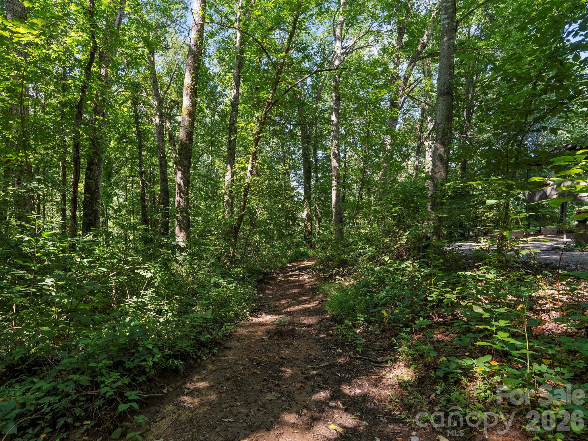 115 Bittersweet Trail — Canton