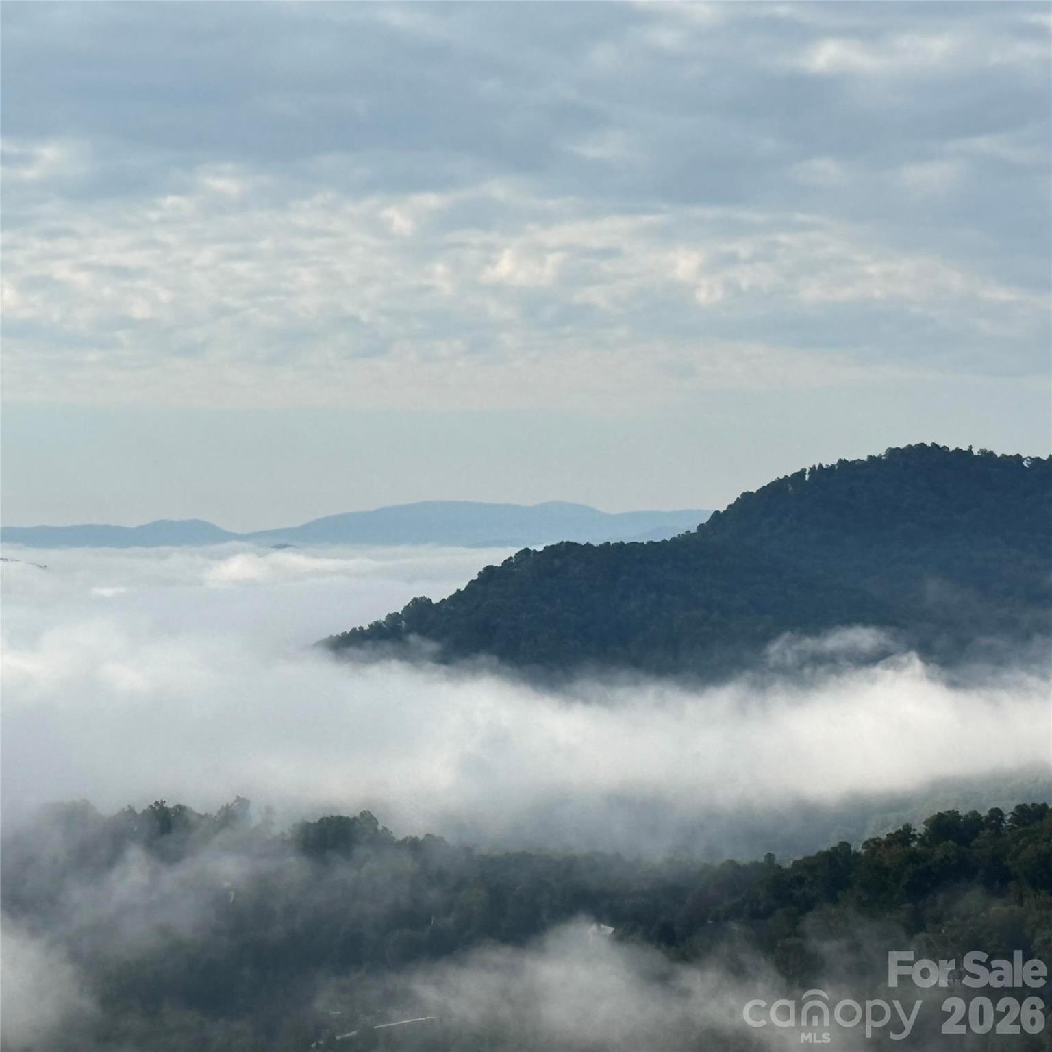 435 Appeldoorn Circle — Asheville