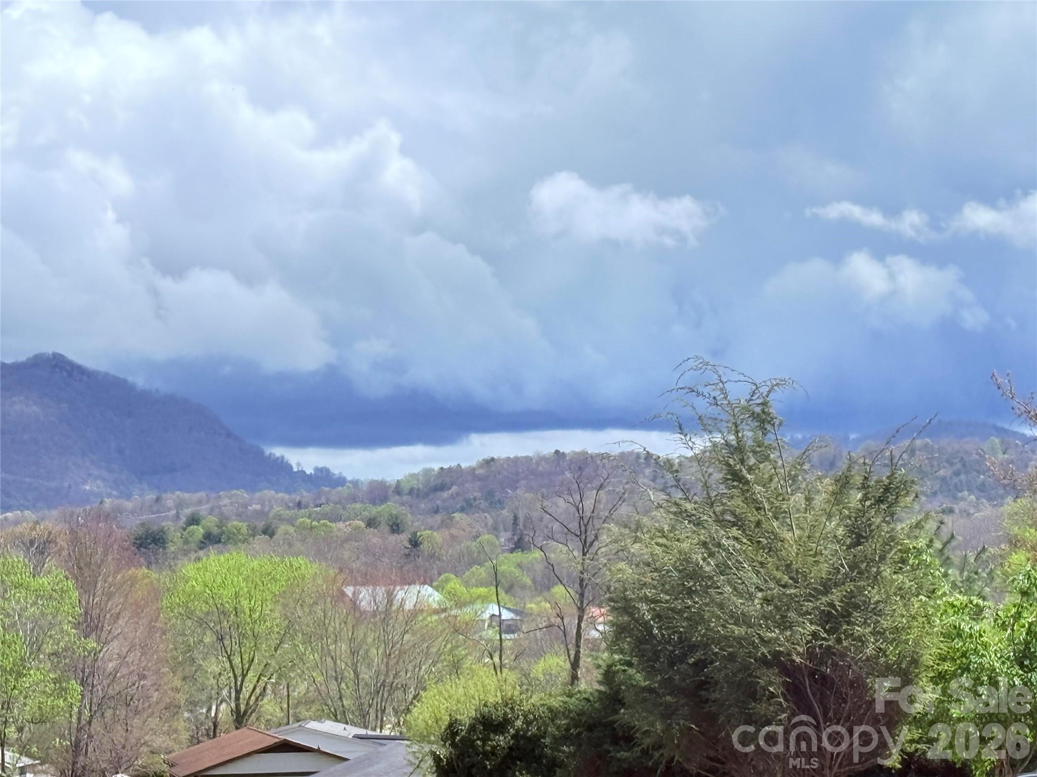 435 Appeldoorn Circle — Asheville