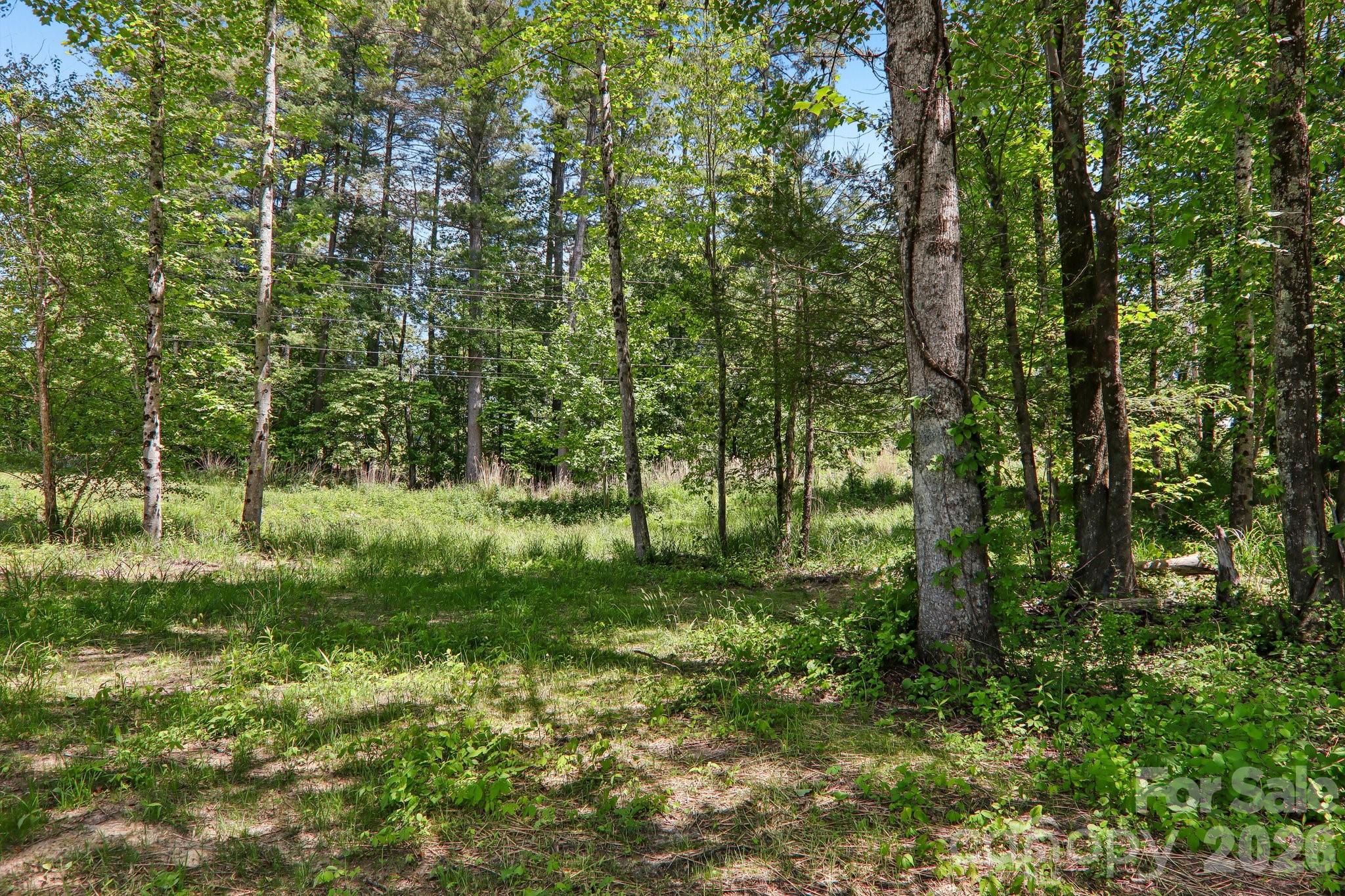 36 Haywood Crossing Drive — Hendersonville