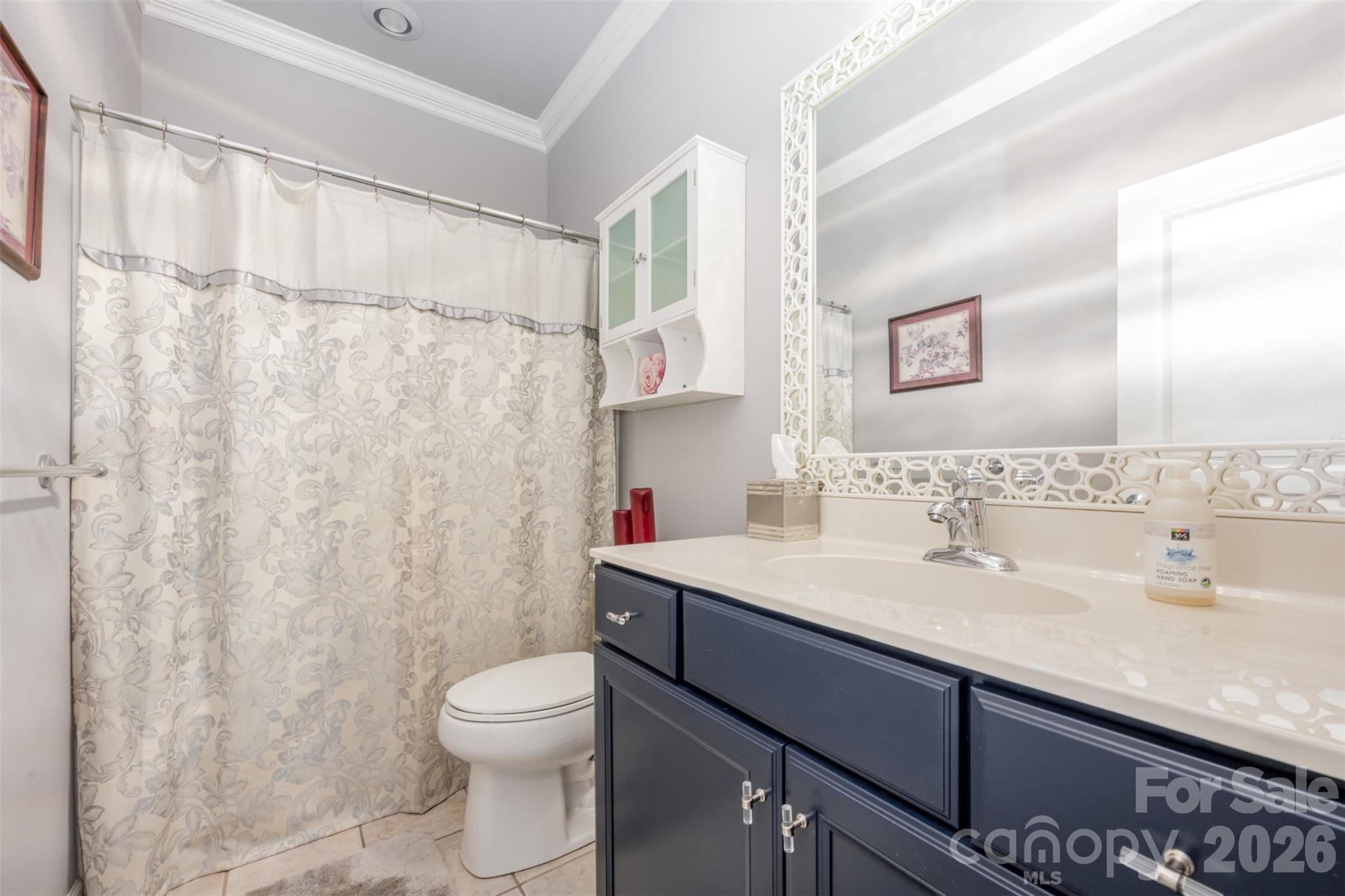 43041 Mimosa Court — Fort Mill