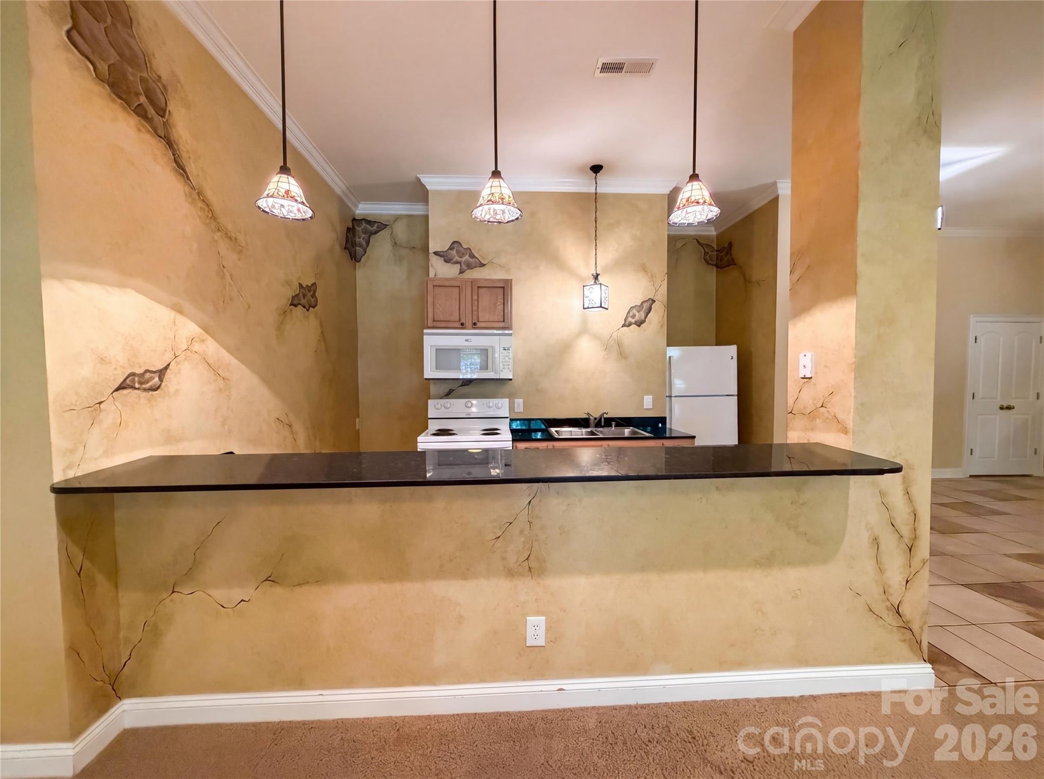 304 Catawba Crest Lane — Clover