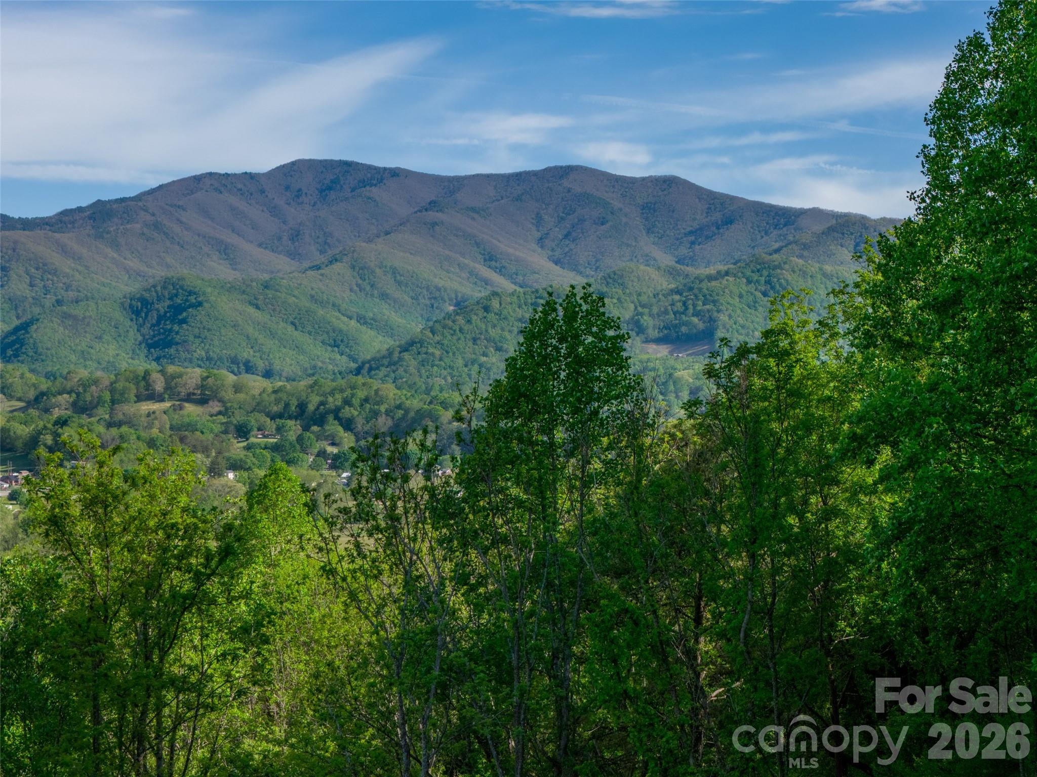 345 Moorehill Drive — Waynesville