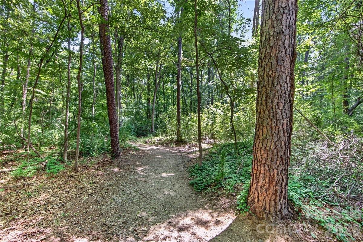 6410 Latta Springs Circle — Huntersville