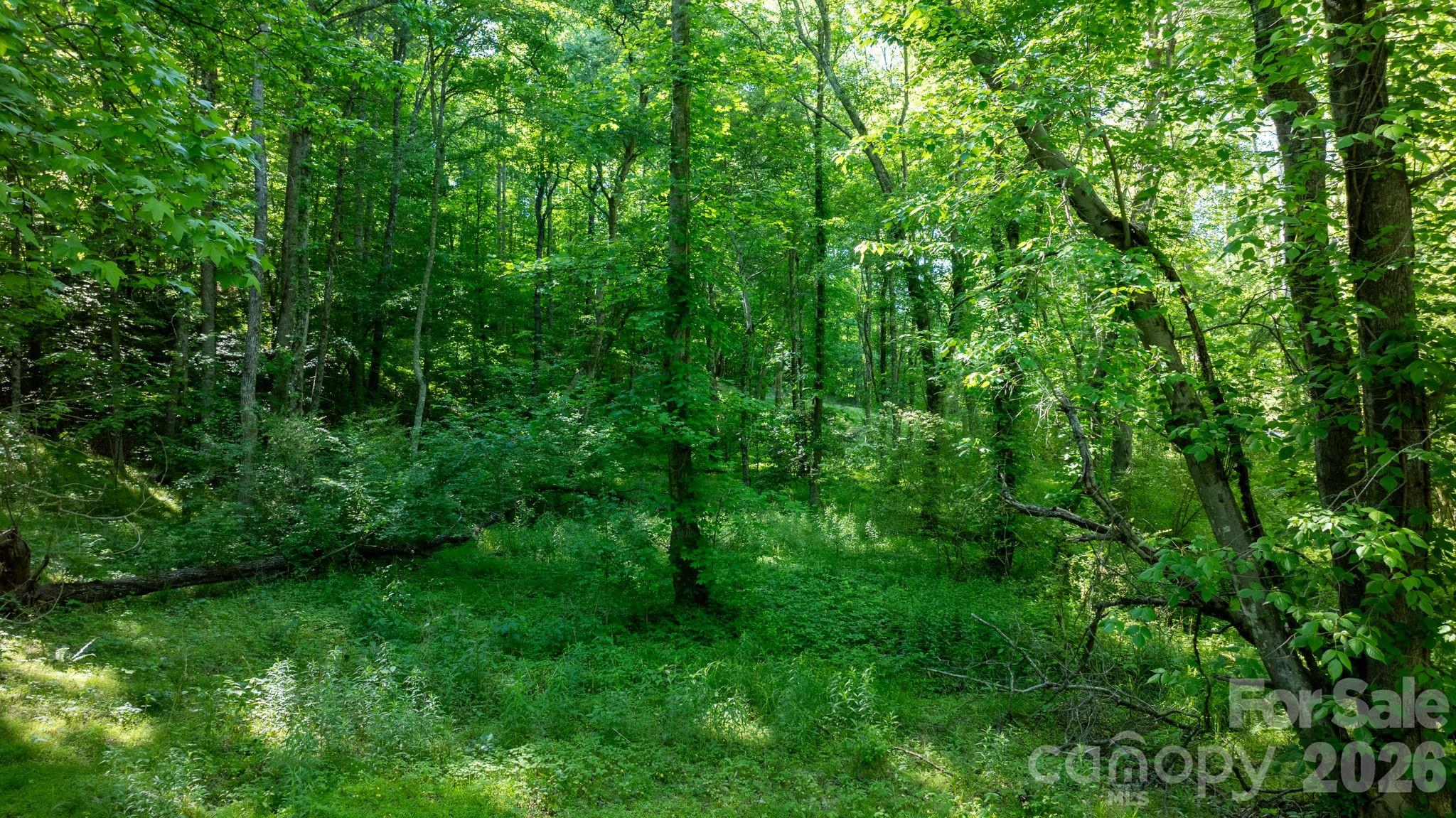 3355 Helton Hartley Place — Lenoir