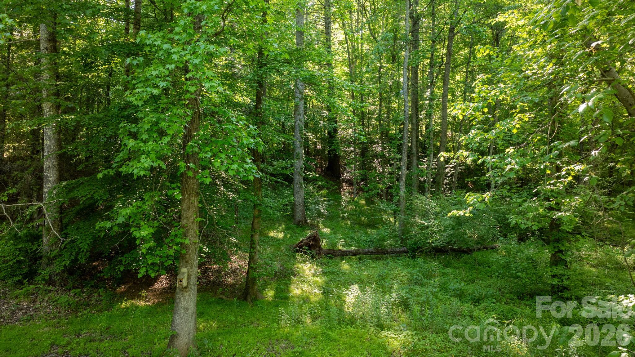 3355 Helton Hartley Place — Lenoir