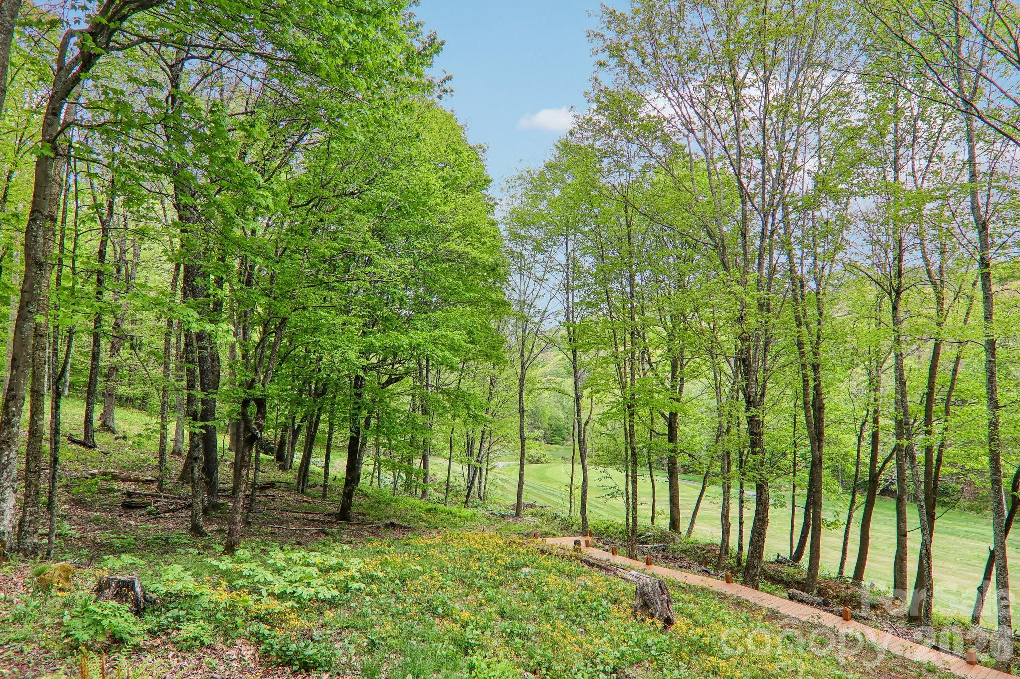101 Oak Ridge Court — Mars Hill