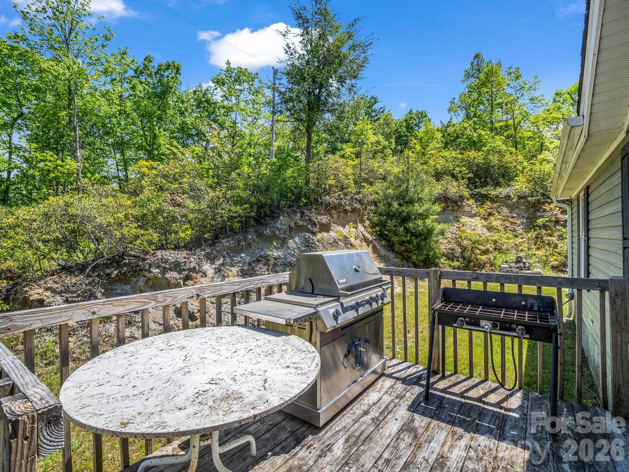 2053 Nancy Mountain Road — Rosman