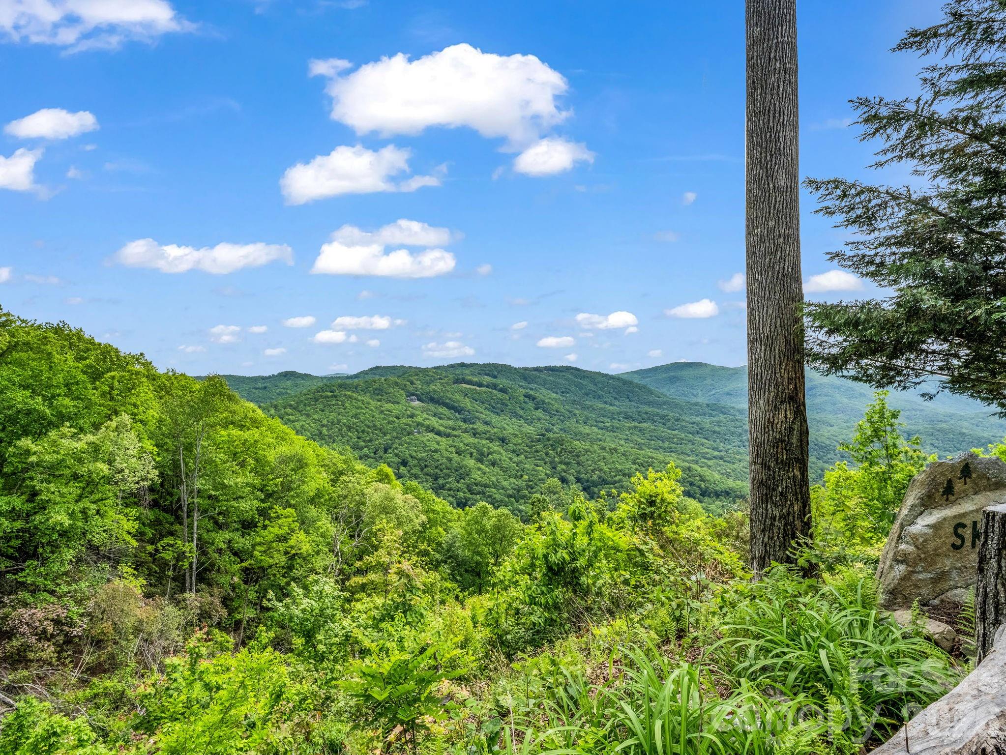 2053 Nancy Mountain Road — Rosman