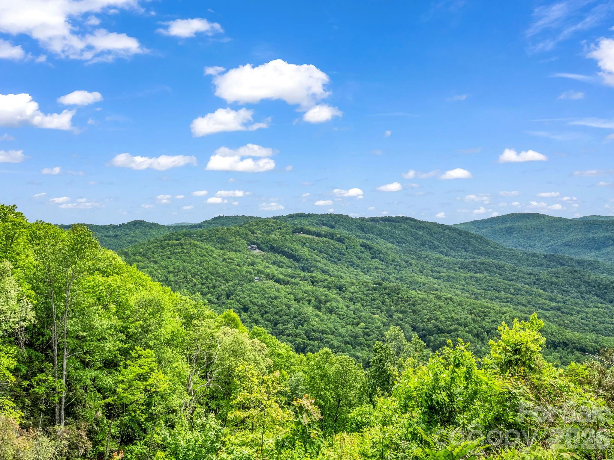 2053 Nancy Mountain Road — Rosman