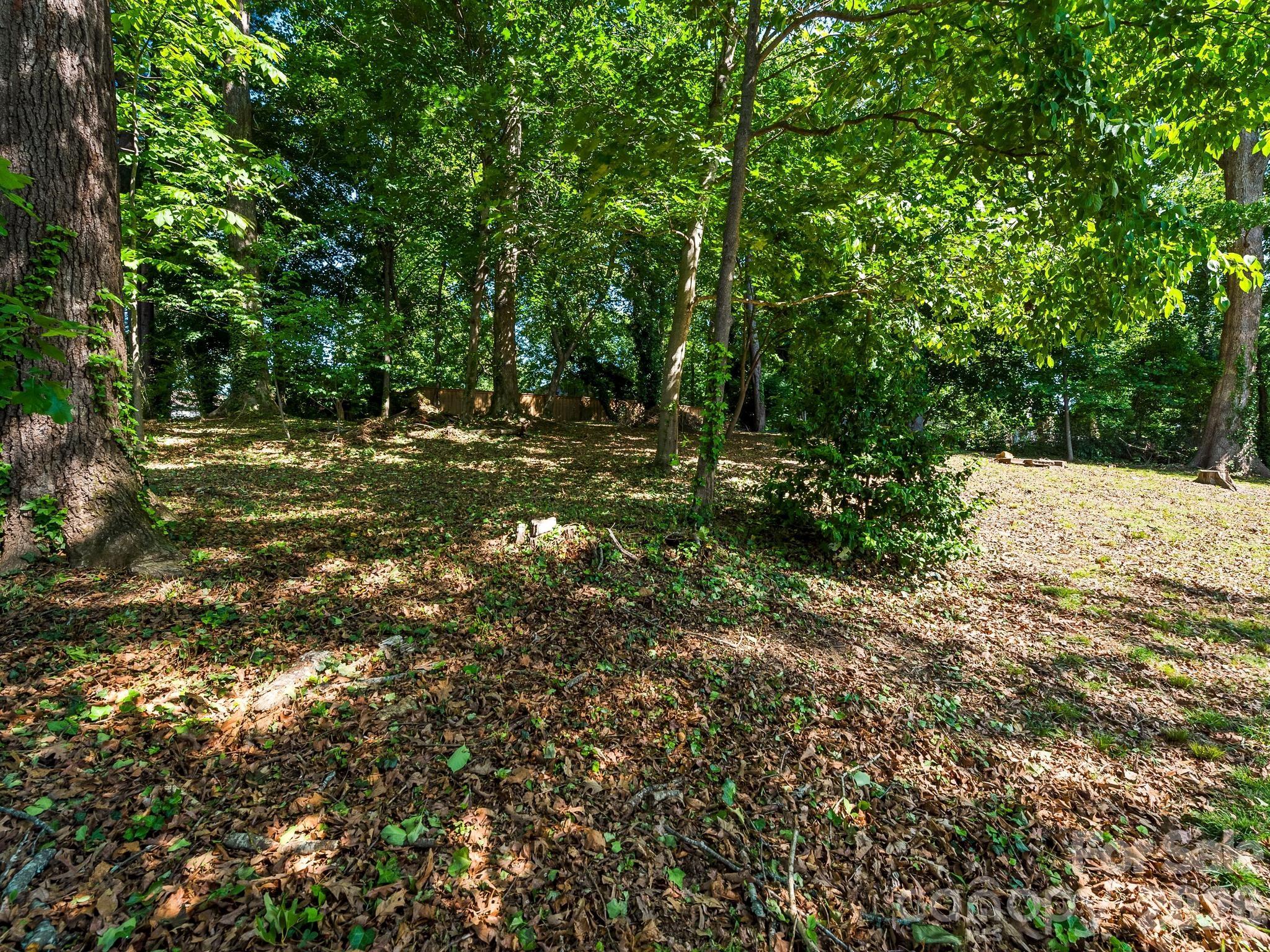 36 Robinwood Avenue — Asheville