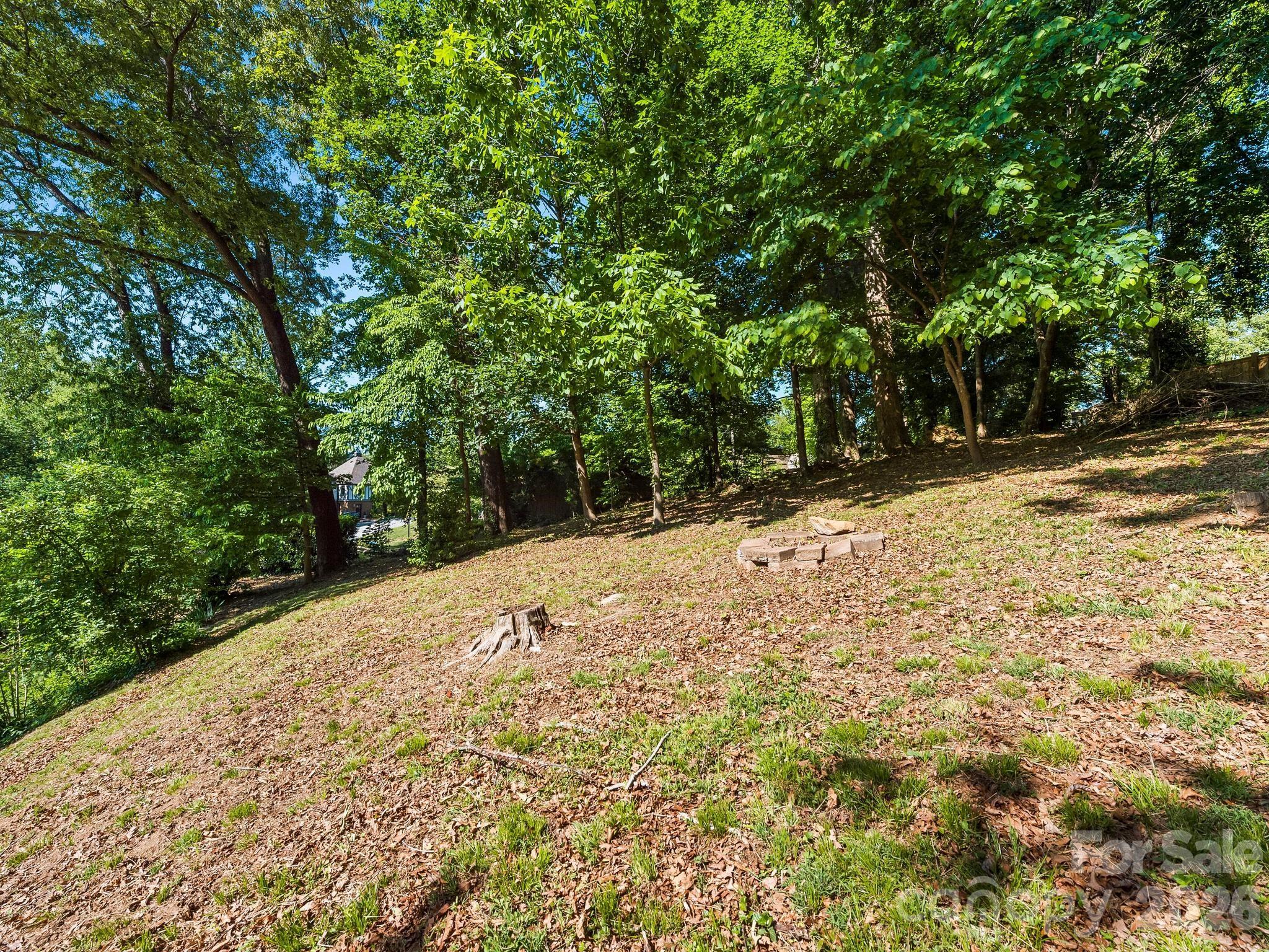 36 Robinwood Avenue — Asheville