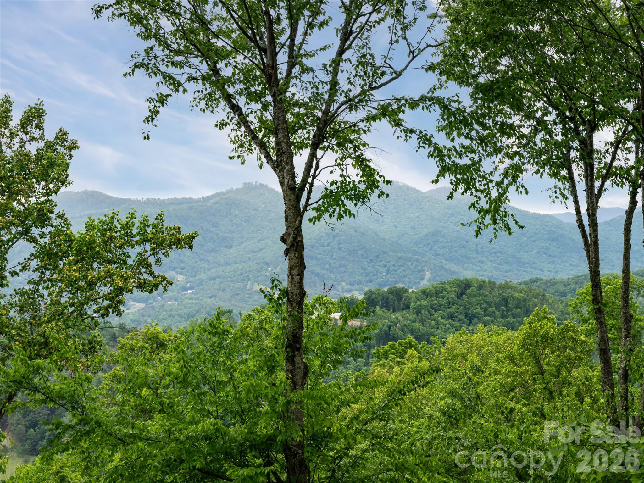 29 Elk Ridge Drive — Asheville