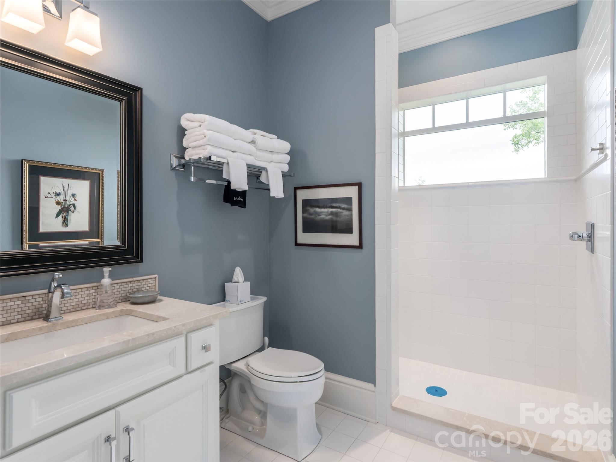 29 Elk Ridge Drive — Asheville