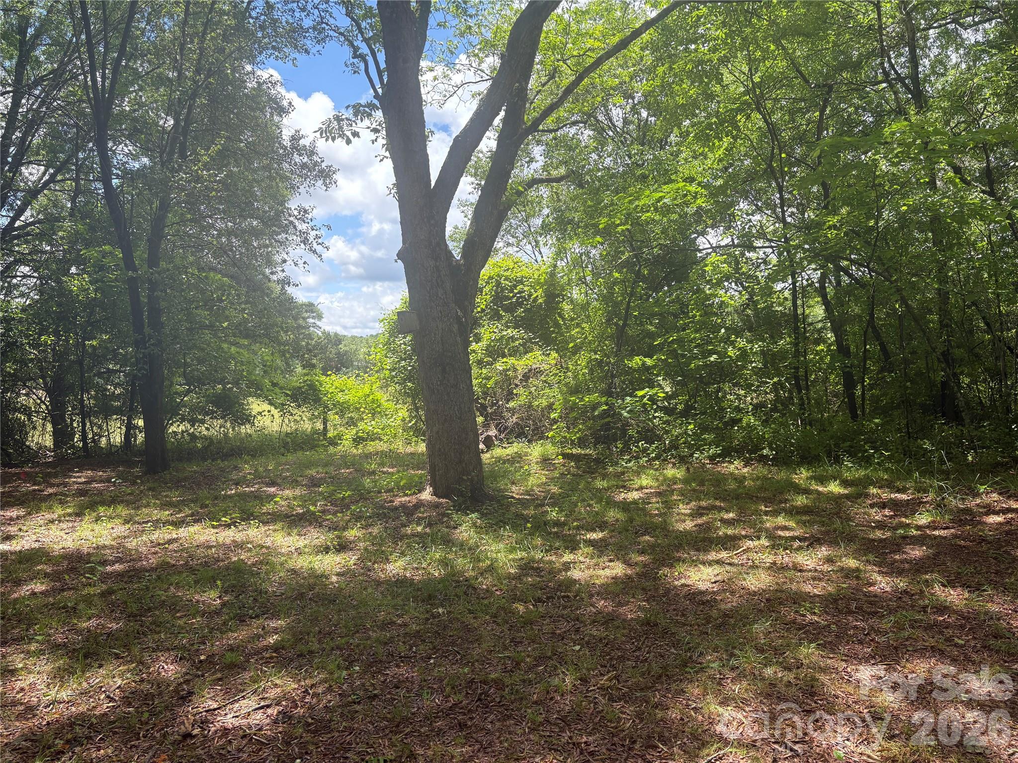 3880 Love Road — Claremont